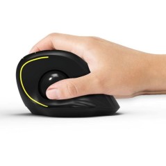 Souris sans fil - PORT Designs - 900719 TRACKBALL ERGO - Bluetooth & 2