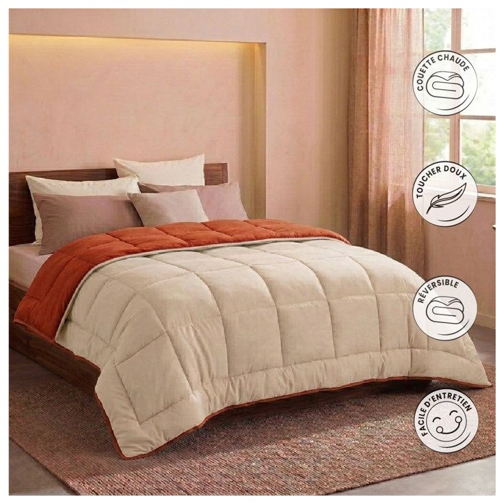 CALGARY - Couette Chaude Microfibre 400gr/m² - Gris Galet & Marron Gingembre - 240 x 260 cm CALGARY - Couette Chaude Microfibre 400gr/m² - Gris Galet & Marron Gingembre - 240 x 260 cm