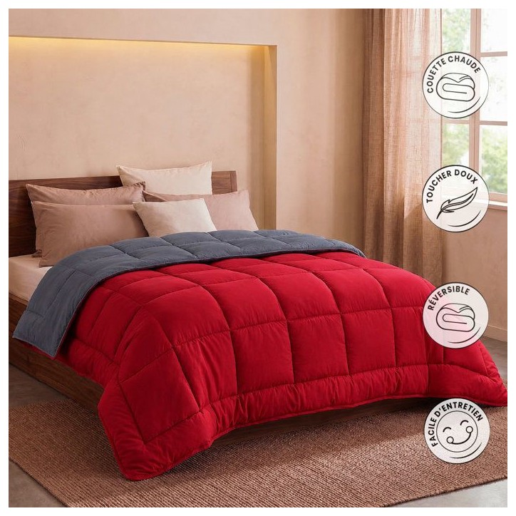 HUDSON - Couette Légere Microfibre - 200gr/m2 - Gris & Rouge - 220 x 240 cm HUDSON - Couette Légere Microfibre - 200gr/m2 - Gris & Rouge - 220 x 240 cm