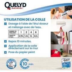 Colle papiers peints - QUELYD - Intissés en poudre - Toutes pieces -