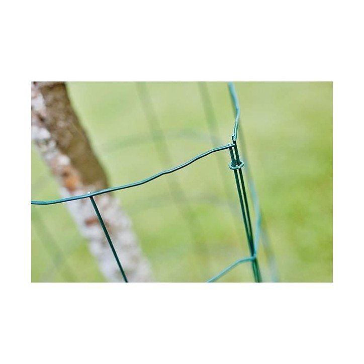 RAPID 1600 agrafes VR22 vertes
