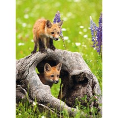 Puzzle Ravensburger Photograph Exotic Animal (300 XXL) - Animaux - Int
