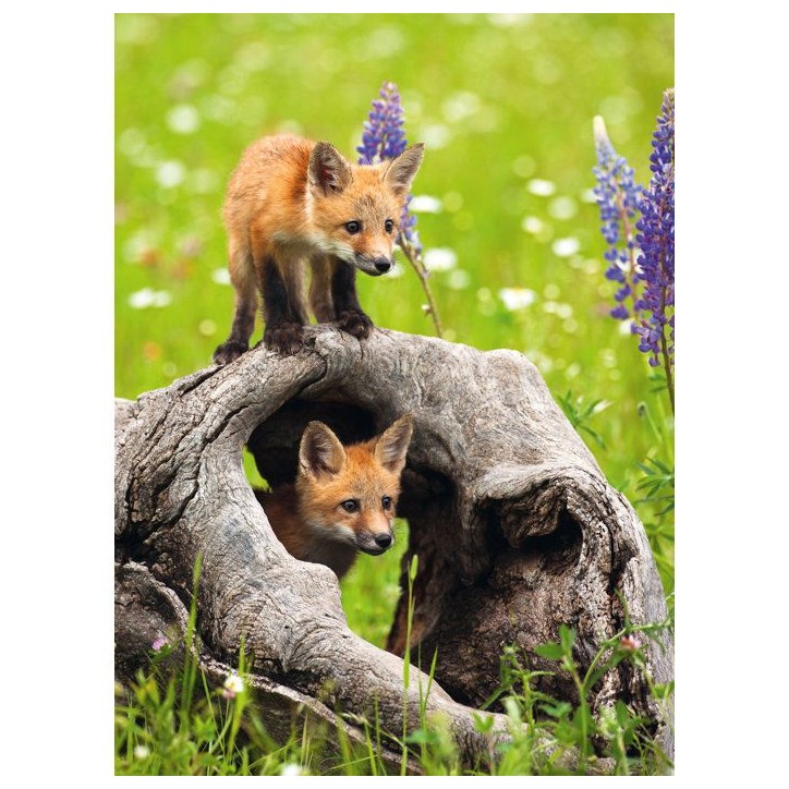 Puzzle Ravensburger Photograph Exotic Animal (300 XXL) - Animaux - Intérieur - Mixte Puzzle Ravensburger Photograph Exotic Animal (300 XXL) - Animaux - Intérieur - Mixte