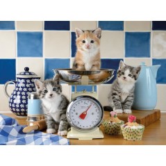 Ravensburger - Puzzle Adulte - Puzzle 1500 pieces - Chatons dans la cu
