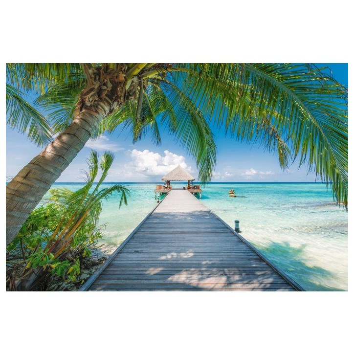 Ravensburger-Puzzle Adulte 4000 pieces-Plage de reve aux Maldives-des 14 ans-Puzzle qualité supérieure fabriqué en Europe-120