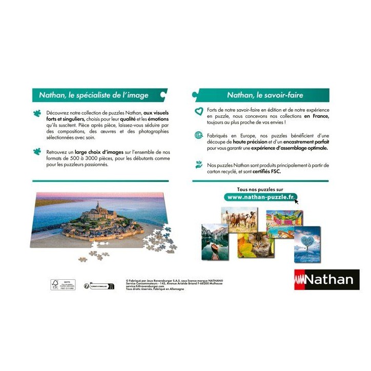 Nathan - Puzzle 2000 pieces - Les portraits / Astérix -des 14 ans - Puzzle de qualité supérieure - Collection Mes Héros - 12 Nathan - Puzzle 2000 pieces - Les portraits / Astérix -des 14 ans - Puzzle de qualité supérieure - Collection Mes Héros - 12