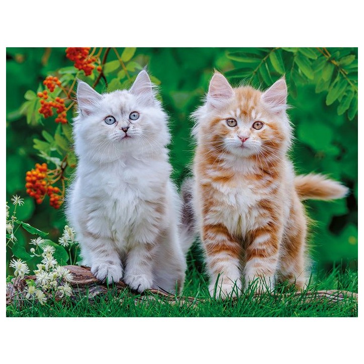Nathan - Puzzle 2000 pieces - Chatons Sibériens -des 14 ans - Puzzle de qualité supérieure - Collection Tendresse - 12001868 Nathan - Puzzle 2000 pieces - Chatons Sibériens -des 14 ans - Puzzle de qualité supérieure - Collection Tendresse - 12001868