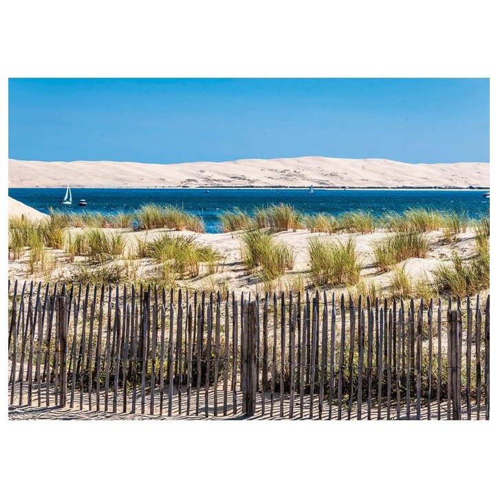 Nathan - Puzzle 1000 pieces - Vue sur la Dune du Pilat (Collection Régions de France) - des 14 ans - Encastrement parfait-12001 Nathan - Puzzle 1000 pieces - Vue sur la Dune du Pilat (Collection Régions de France) - des 14 ans - Encastrement parfait-12001