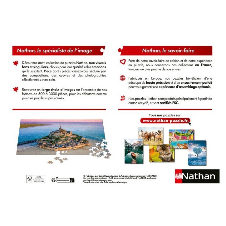 Nathan - Puzzle 1000 pieces - Lionceau du désert - des 14 ans - Encastrement parfait - Collection Vie sauvage - 12001884 Nathan - Puzzle 1000 pieces - Lionceau du désert - des 14 ans - Encastrement parfait - Collection Vie sauvage - 12001884