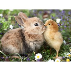 Ravensburger - Puzzle 500 pieces - Lapin et poussin (Collection bébé