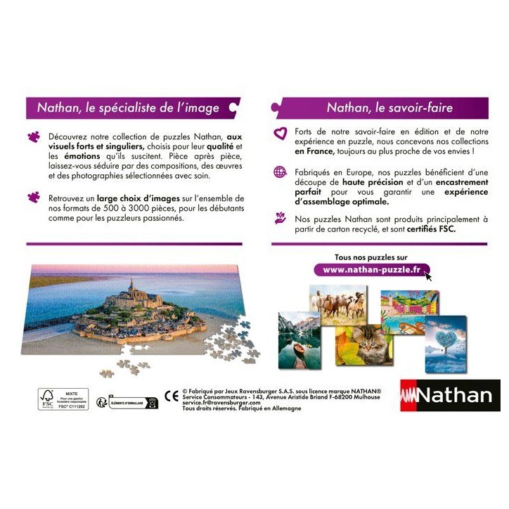 Nathan - Puzzle Adulte 500 pieces - Vers l'infini et au-dela / Toy Story - des 12 Ans - Puzzle de qualité supérieure - 1200197 Nathan - Puzzle Adulte 500 pieces - Vers l'infini et au-dela / Toy Story - des 12 Ans - Puzzle de qualité supérieure - 1200197