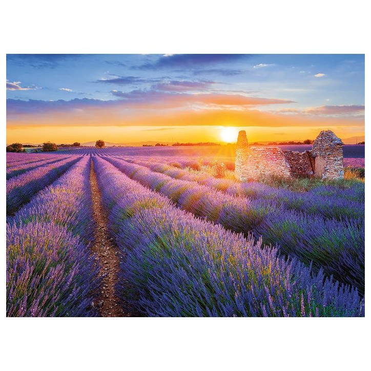 Nathan-Puzzle Adulte 500 pieces-Route de la lavande, Valensole(Collection Régions de France)-des 12 ans-qualité supérieure-12 Nathan-Puzzle Adulte 500 pieces-Route de la lavande, Valensole(Collection Régions de France)-des 12 ans-qualité supérieure-12