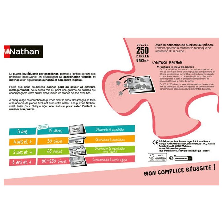 Nathan - Puzzle enfants 250 pieces - L'atelier du bricolage -des 8 ans-Pz qualité supérieure - Carton épais et résistant -12 Nathan - Puzzle enfants 250 pieces - L'atelier du bricolage -des 8 ans-Pz qualité supérieure - Carton épais et résistant -12