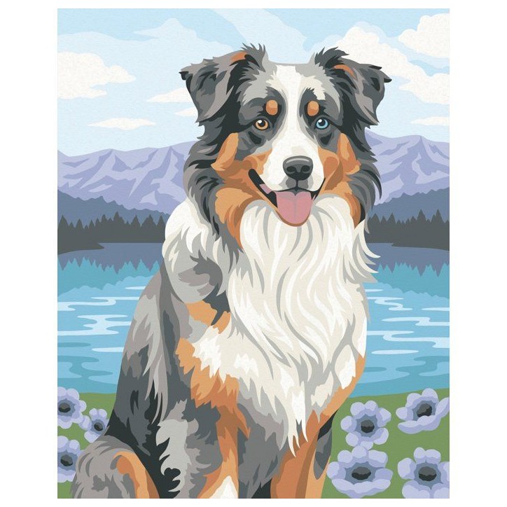 Ravensburger – CreArt 24x30 cm – Adulte – Peinture par numéros – Berger Australien – Loisir créatif – 12023114 Ravensburger – CreArt 24x30 cm – Adulte – Peinture par numéros – Berger Australien – Loisir créatif – 12023114