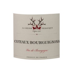 La Reine Pédauque 2024 Côteaux de Bourguignons - Vin rouge de Bourgogne