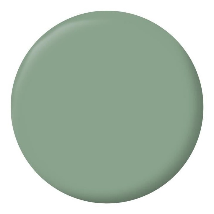 Peinture Intérieure - Vert Simsun - 2,5L - Haute Opacité - Lessivable