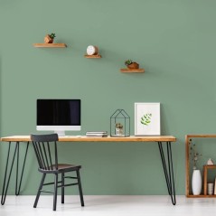 Peinture Intérieure - Vert Simsun - 2,5L - Haute Opacité - Lessivabl