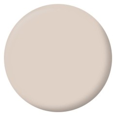 Peinture Intérieure - Café au Lait - 2,5L - Velours - Haute Opacité - Lessivable