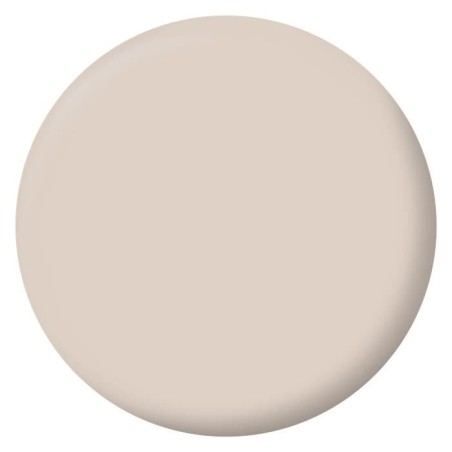 Peinture Intérieure - Café au Lait - 2,5L - Velours - Haute Opacité - Lessivable
