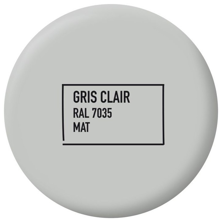 Peinture multi-supports - Gris clair - RAL 7035 - Mat - Ripolin - 2L