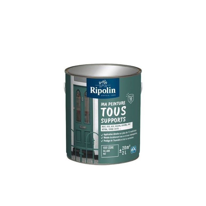 Peinture multi-supports - Vert cedre - RAL 6000 - Mat - Ripolin - 2L