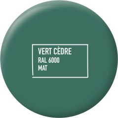 Peinture multi-supports - Vert cedre - RAL 6000 - Mat - Ripolin - 2L