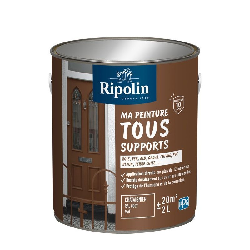 Peinture multi-supports - Châtaigner - RAL 8007 - Mat - Ripolin - 2L