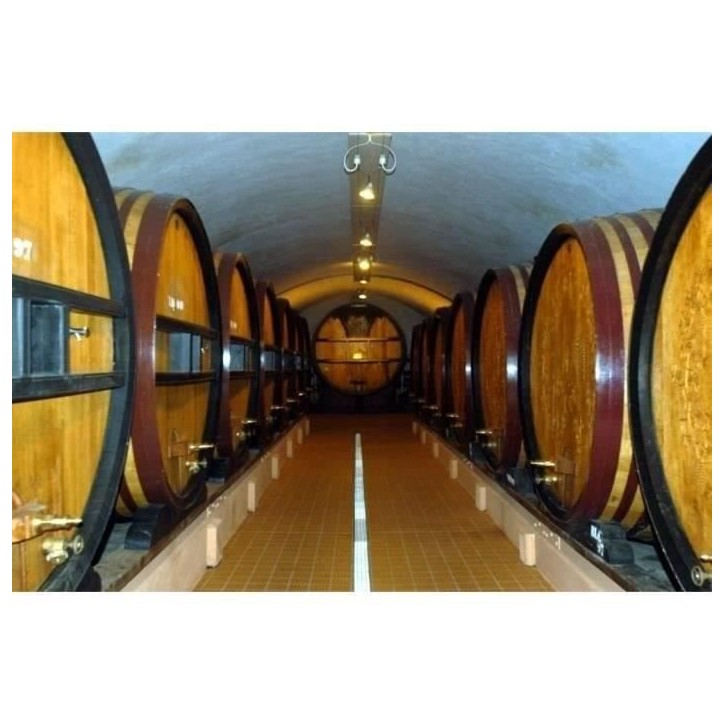 Champagne Roederer Collection avec étui