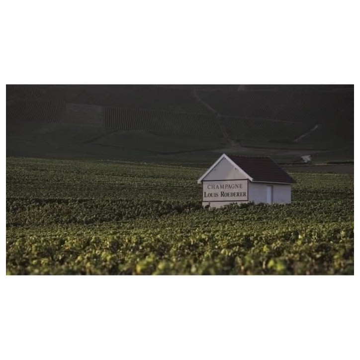 Champagne Roederer Collection avec étui