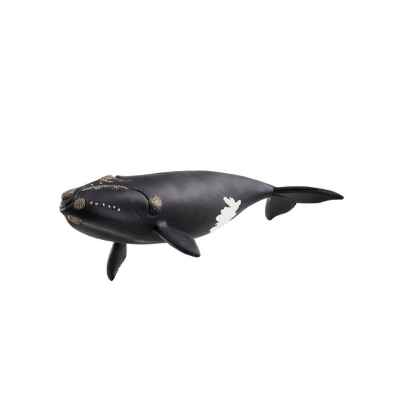 Figurine baleine de l'atlantique, Schleich 14878 Wild Life, des 5 ans