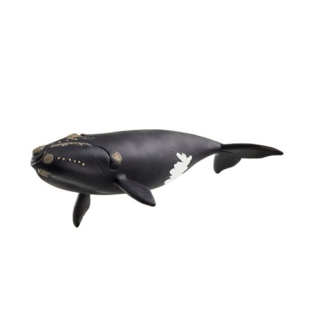 Figurine baleine de l'atlantique, Schleich 14878 Wild Life, des 5 ans