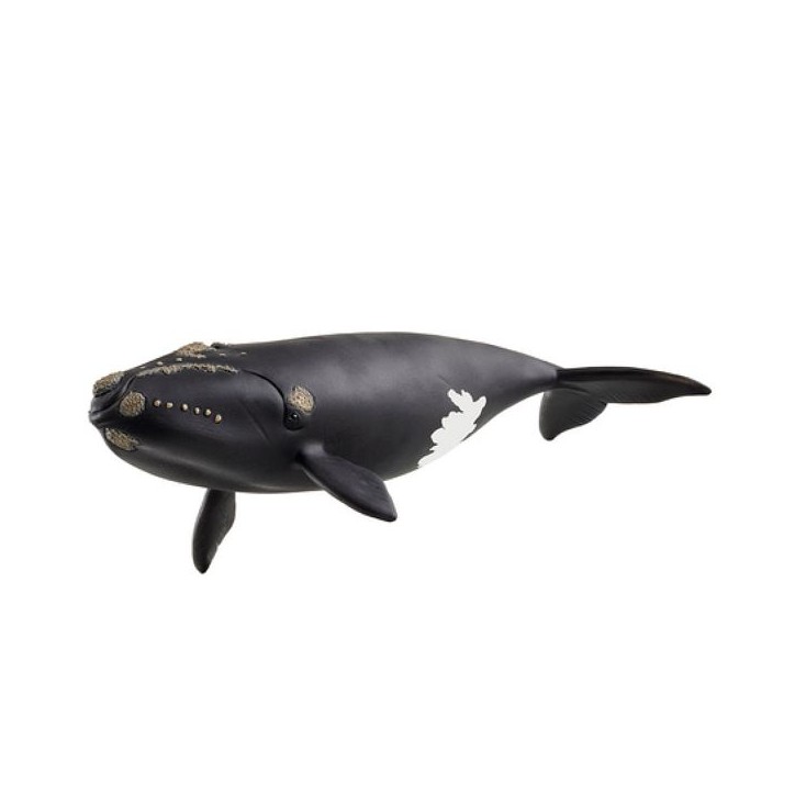 Figurine baleine de l'atlantique, Schleich 14878 Wild Life, des 5 ans Figurine baleine de l'atlantique, Schleich 14878 Wild Life, des 5 ans