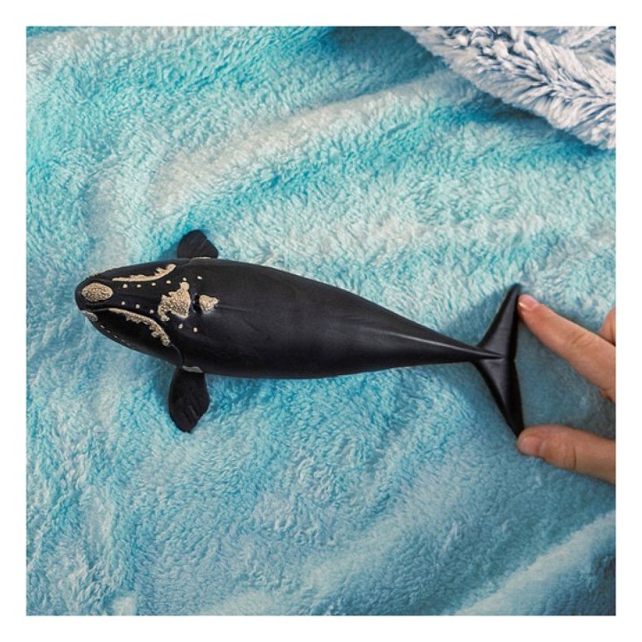 Figurine baleine de l'atlantique, Schleich 14878 Wild Life, des 5 ans Figurine baleine de l'atlantique, Schleich 14878 Wild Life, des 5 ans