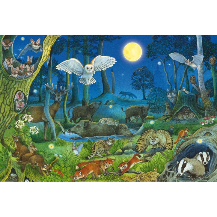 Puzzle - SCHMIDT SPIELE - Animaux dans la foret nocturne - 100 pieces - Des 6 ans Puzzle - SCHMIDT SPIELE - Animaux dans la foret nocturne - 100 pieces - Des 6 ans
