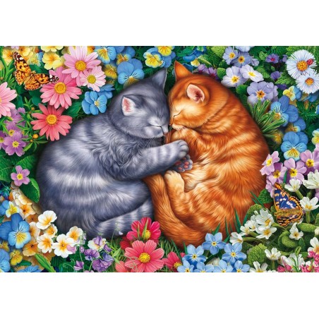 Puzzle - SCHMIDT SPIELE - Sommeil aux pattes de velours - 1000 pieces - Des 12 ans