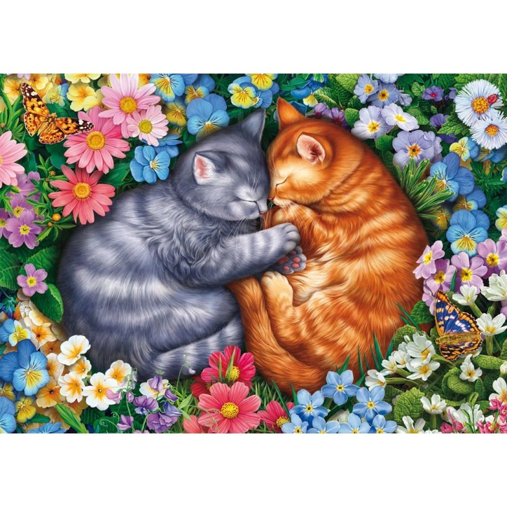 Puzzle - SCHMIDT SPIELE - Sommeil aux pattes de velours - 1000 pieces - Des 12 ans Puzzle - SCHMIDT SPIELE - Sommeil aux pattes de velours - 1000 pieces - Des 12 ans