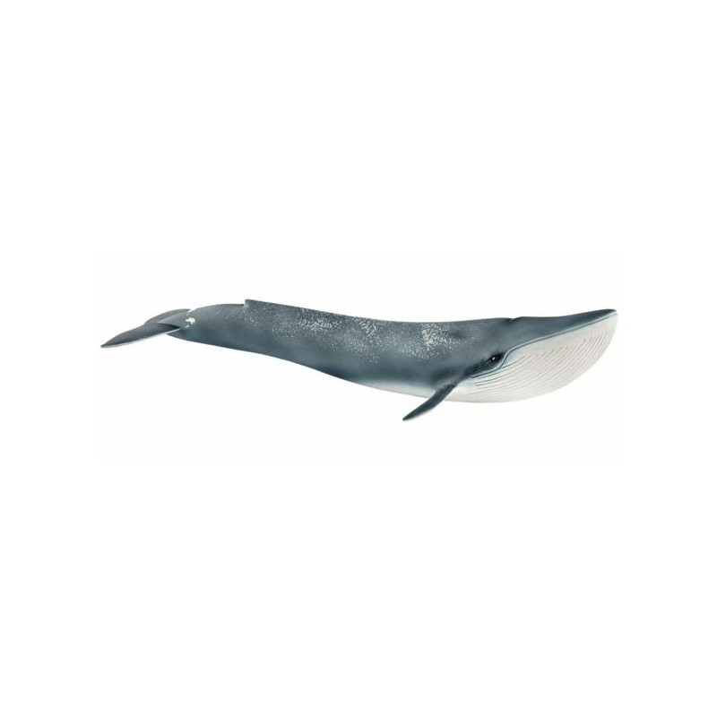 Figurine Baleine bleue - SCHLEICH 14806 Wild Life - Animal sauvage ré