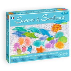 Kit Cosmétique - SENTOSPHERE - Savons et Senteurs - Mouler des savons