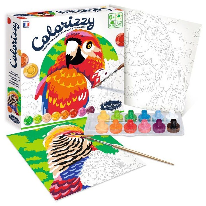 Peinture Acrylique - SENTOSPHERE - Colorizzy - Oiseaux - Peinture a numéro pour jeunes artistes - Des 8 ans Peinture Acrylique - SENTOSPHERE - Colorizzy - Oiseaux - Peinture a numéro pour jeunes artistes - Des 8 ans