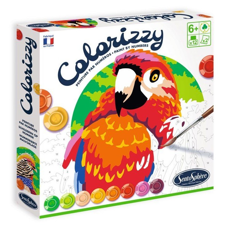 Peinture Acrylique - SENTOSPHERE - Colorizzy - Oiseaux - Peinture a numéro pour jeunes artistes - Des 8 ans Peinture Acrylique - SENTOSPHERE - Colorizzy - Oiseaux - Peinture a numéro pour jeunes artistes - Des 8 ans