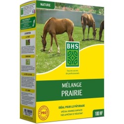 Gazon - BHS - Mélange Prairie 1kg | 40m² | Pour zones extensives et