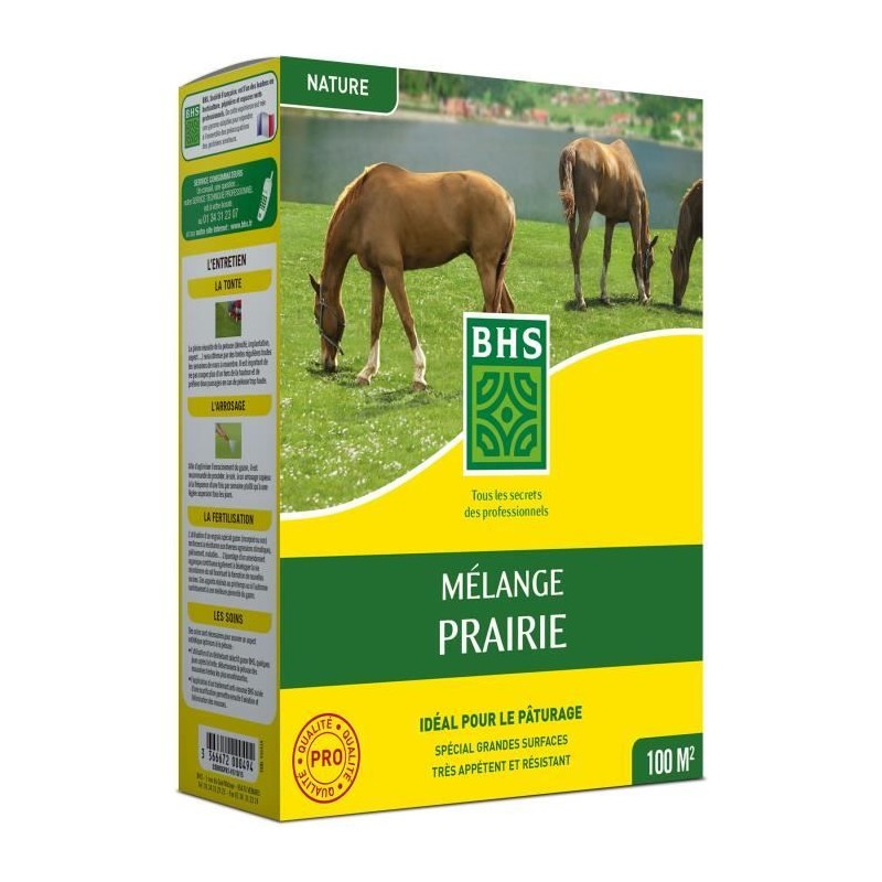Gazon - BHS - Mélange Prairie 1kg | 40m² | Pour zones extensives et Gazon - BHS - Mélange Prairie 1kg | 40m² | Pour zones extensives et