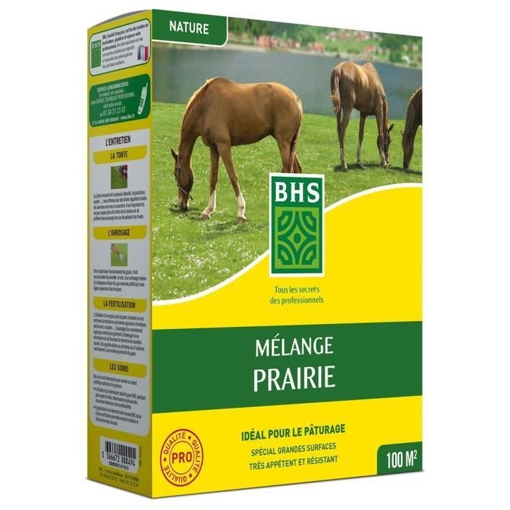 Gazon - BHS - Mélange Prairie 1kg | 40m² | Pour zones extensives et pâturage | Installation rapide, résistant, sans entretie