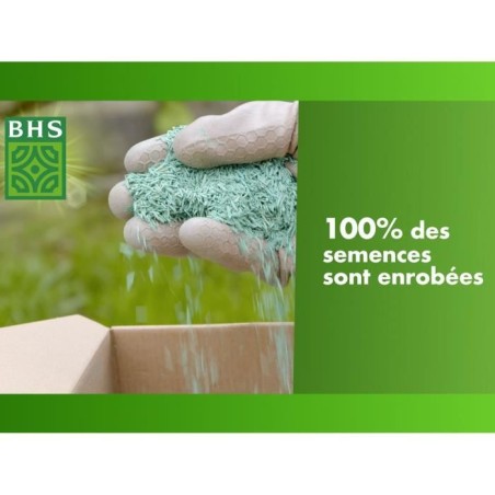 Gazon - BHS - Mélange Prairie 1kg | 40m² | Pour zones extensives et pâturage | Installation rapide, résistant, sans entretie
