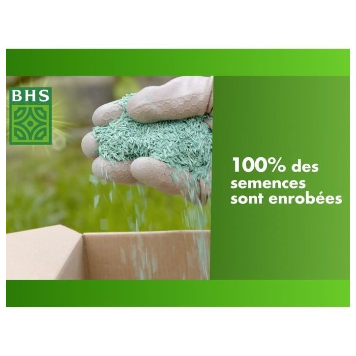 Gazon - BHS - Mélange Prairie 1kg | 40m² | Pour zones extensives et pâturage | Installation rapide, résistant, sans entretie