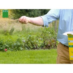 Gazon - BHS - Mélange Prairie 1kg | 40m² | Pour zones extensives et