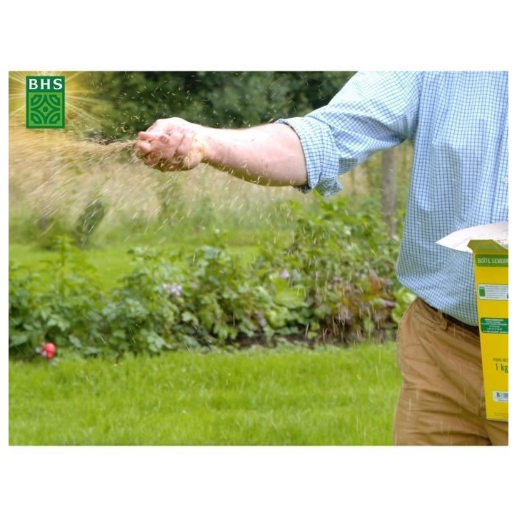 Gazon - BHS - Mélange Prairie 1kg | 40m² | Pour zones extensives et pâturage | Installation rapide, résistant, sans entretie