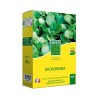 Dichondra - BHS - 300g | 25 m² | Climats doux | Semences enrichies en