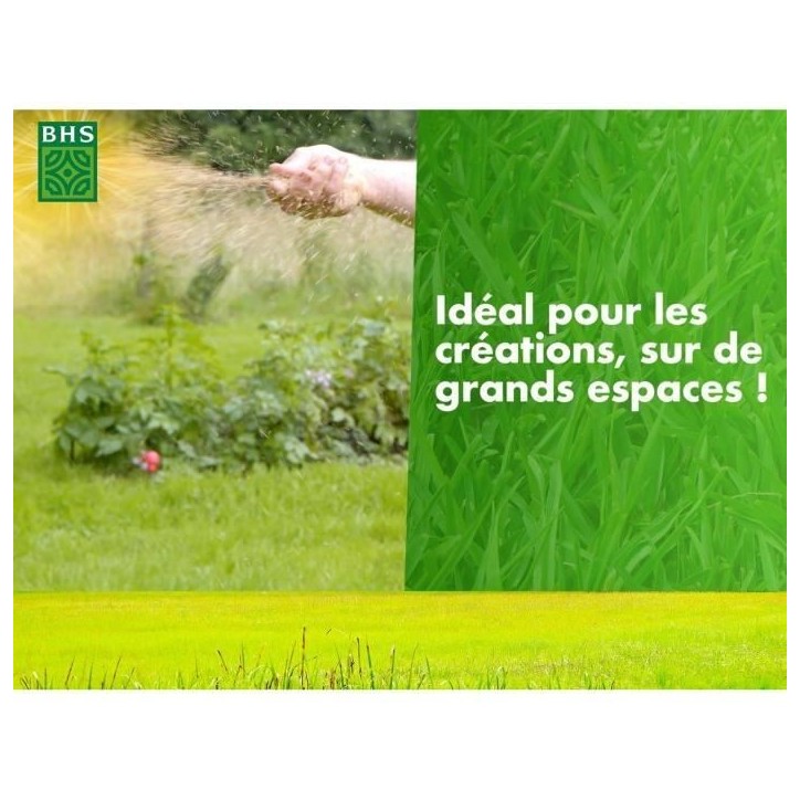 Gazon - BHS - 1er prix Eco - 10 kg