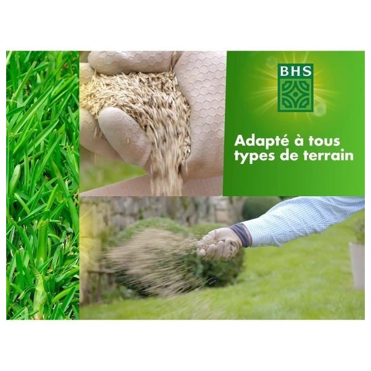Gazon - BHS - Gazon Rustique 1 KG - Plus résistant et mieux protégé - Rapide et Durable - Tous Types de Terrain et Climats, R Gazon - BHS - Gazon Rustique 1 KG - Plus résistant et mieux protégé - Rapide et Durable - Tous Types de Terrain et Climats, R